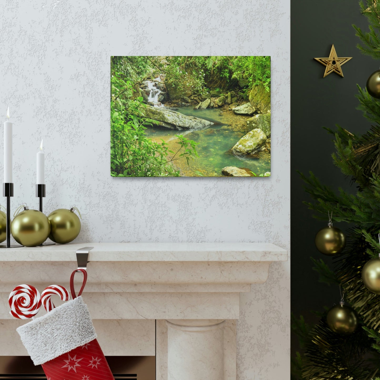 EYNF - Canvas Gallery Wraps - The Magic pond in La Mina river and trail - El Yunque PR - before Hurricane Maria - Green Forest Home