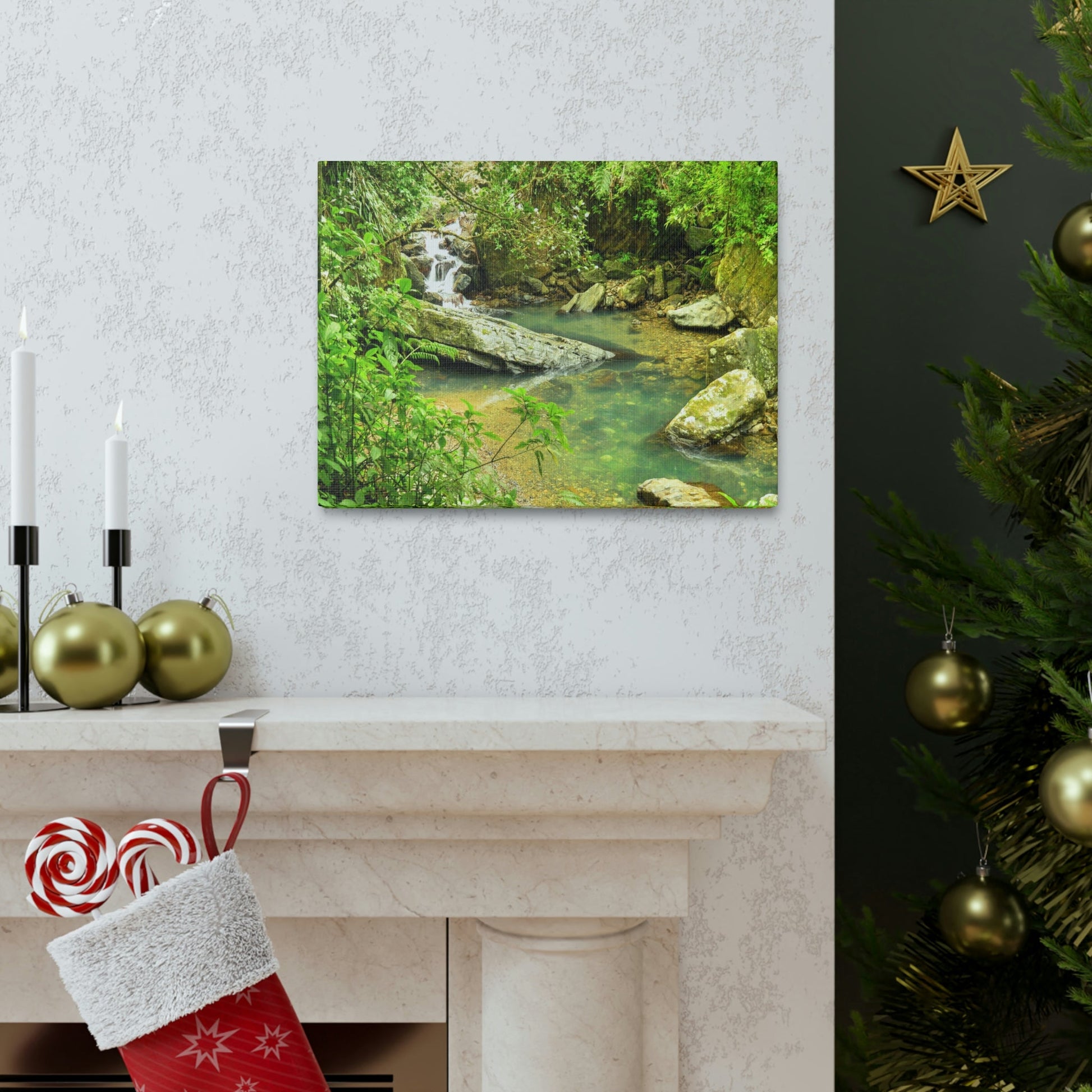 EYNF - Canvas Gallery Wraps - The Magic pond in La Mina river and trail - El Yunque PR - before Hurricane Maria - Green Forest Home