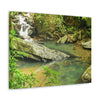 EYNF - Canvas Gallery Wraps - The Magic pond in La Mina river and trail - El Yunque PR - before Hurricane Maria - Green Forest Home