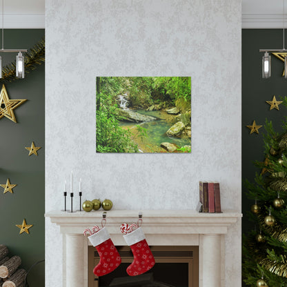EYNF - Canvas Gallery Wraps - The Magic pond in La Mina river and trail - El Yunque PR - before Hurricane Maria - Green Forest Home