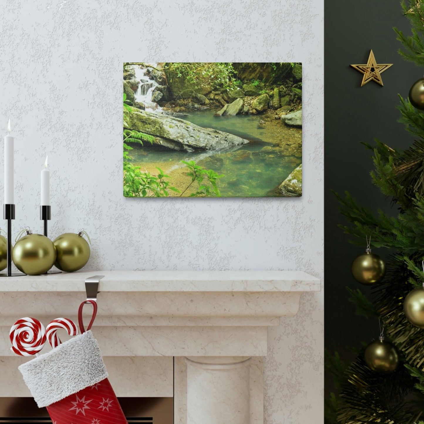 EYNF - Canvas Gallery Wraps - The Magic pond in La Mina river and trail - El Yunque PR - before Hurricane Maria - Green Forest Home