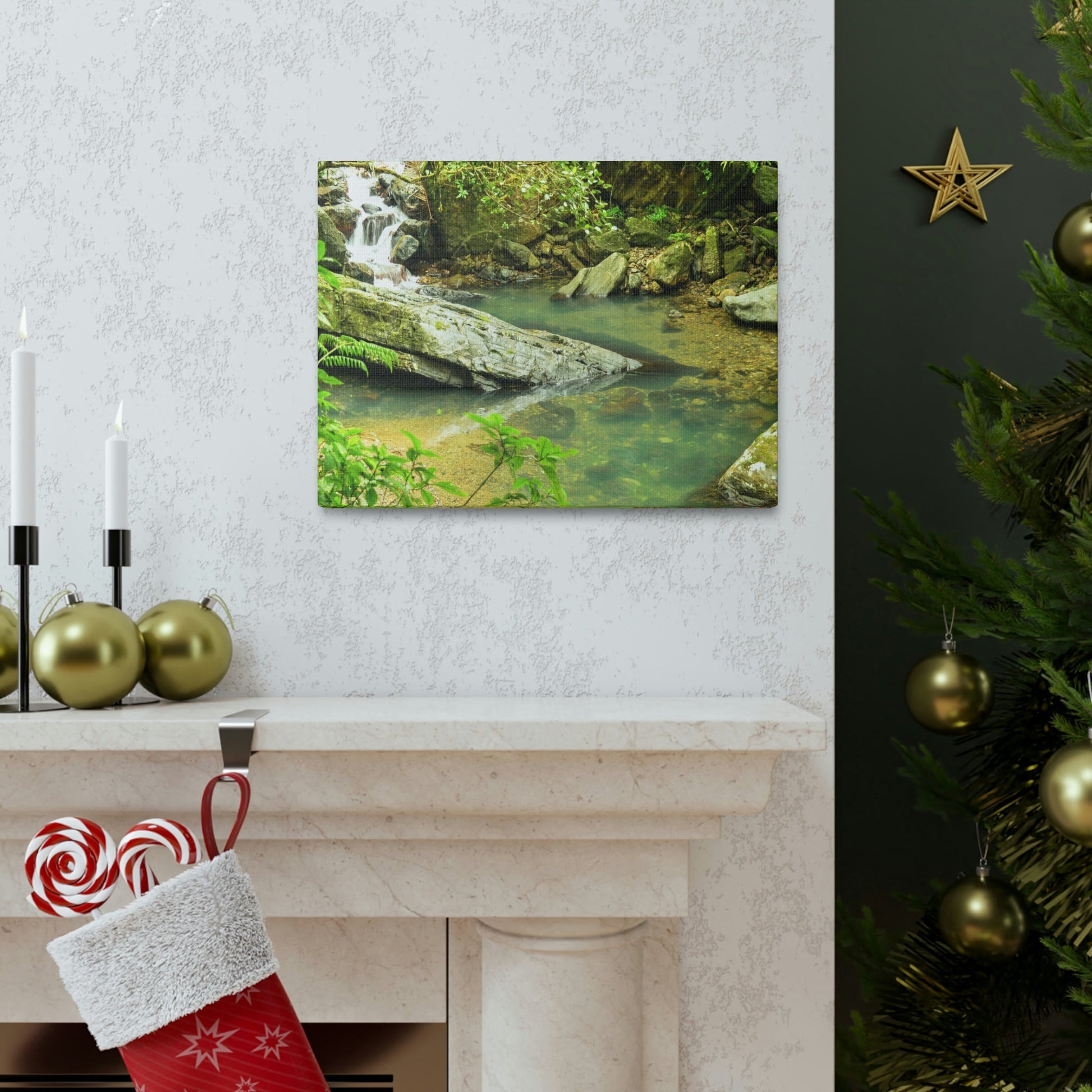 EYNF - Canvas Gallery Wraps - The Magic pond in La Mina river and trail - El Yunque PR - before Hurricane Maria - Green Forest Home