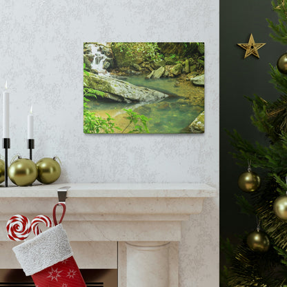 EYNF - Canvas Gallery Wraps - The Magic pond in La Mina river and trail - El Yunque PR - before Hurricane Maria - Green Forest Home