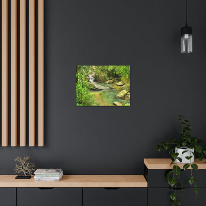 EYNF - Canvas Gallery Wraps - The Magic pond in La Mina river and trail - El Yunque PR - before Hurricane Maria - Green Forest Home