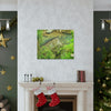 EYNF - Canvas Gallery Wraps - The Magic pond in La Mina river and trail - El Yunque PR - before Hurricane Maria - Green Forest Home