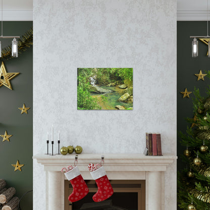 EYNF - Canvas Gallery Wraps - The Magic pond in La Mina river and trail - El Yunque PR - before Hurricane Maria - Green Forest Home