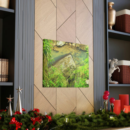 EYNF - Canvas Gallery Wraps - The Magic pond in La Mina river and trail - El Yunque PR - before Hurricane Maria - Green Forest Home