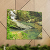 EYNF - Canvas Gallery Wraps - The Magic pond in La Mina river and trail - El Yunque PR - before Hurricane Maria - Green Forest Home