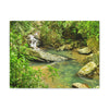 EYNF - Canvas Gallery Wraps - The Magic pond in La Mina river and trail - El Yunque PR - before Hurricane Maria - Green Forest Home