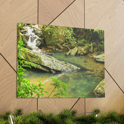 EYNF - Canvas Gallery Wraps - The Magic pond in La Mina river and trail - El Yunque PR - before Hurricane Maria - Green Forest Home