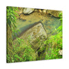 EYNF - Canvas Gallery Wraps - The Magic pond in La Mina river and trail - El Yunque PR - before Hurricane Maria - Green Forest Home