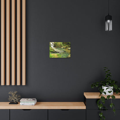 EYNF - Canvas Gallery Wraps - The Magic pond in La Mina river and trail - El Yunque PR - before Hurricane Maria - Green Forest Home