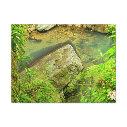 EYNF - Canvas Gallery Wraps - The Magic pond in La Mina river and trail - El Yunque PR - before Hurricane Maria - Green Forest Home