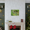 EYNF - Canvas Gallery Wraps - The Magic pond in La Mina river and trail - El Yunque PR - before Hurricane Maria - Green Forest Home