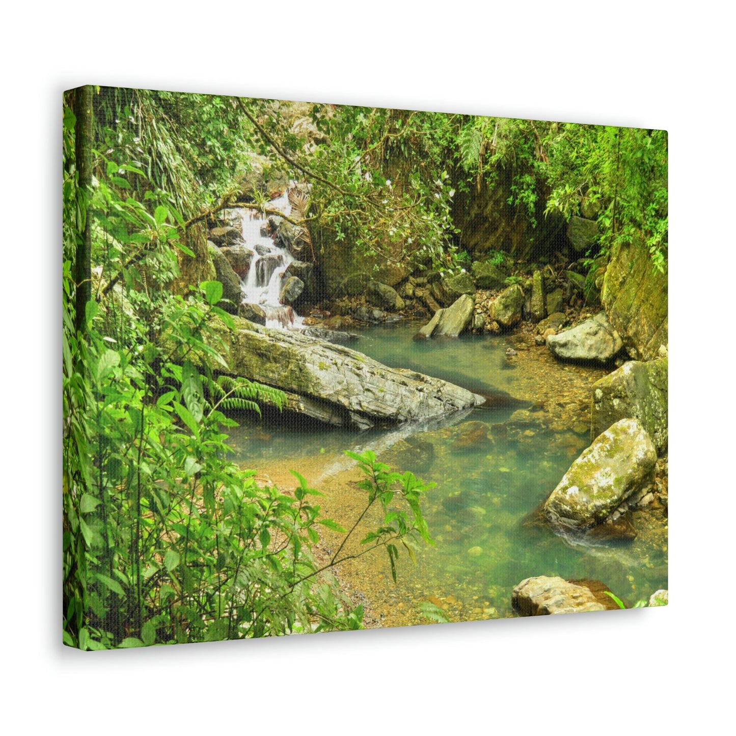 EYNF - Canvas Gallery Wraps - The Magic pond in La Mina river and trail - El Yunque PR - before Hurricane Maria - Green Forest Home