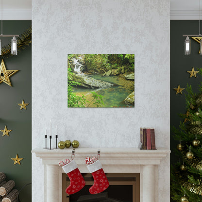 EYNF - Canvas Gallery Wraps - The Magic pond in La Mina river and trail - El Yunque PR - before Hurricane Maria - Green Forest Home