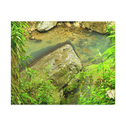 EYNF - Canvas Gallery Wraps - The Magic pond in La Mina river and trail - El Yunque PR - before Hurricane Maria - Green Forest Home