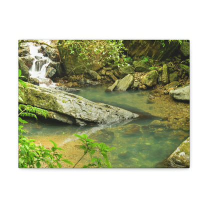 EYNF - Canvas Gallery Wraps - The Magic pond in La Mina river and trail - El Yunque PR - before Hurricane Maria - Green Forest Home