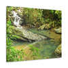 EYNF - Canvas Gallery Wraps - The Magic pond in La Mina river and trail - El Yunque PR - before Hurricane Maria - Green Forest Home