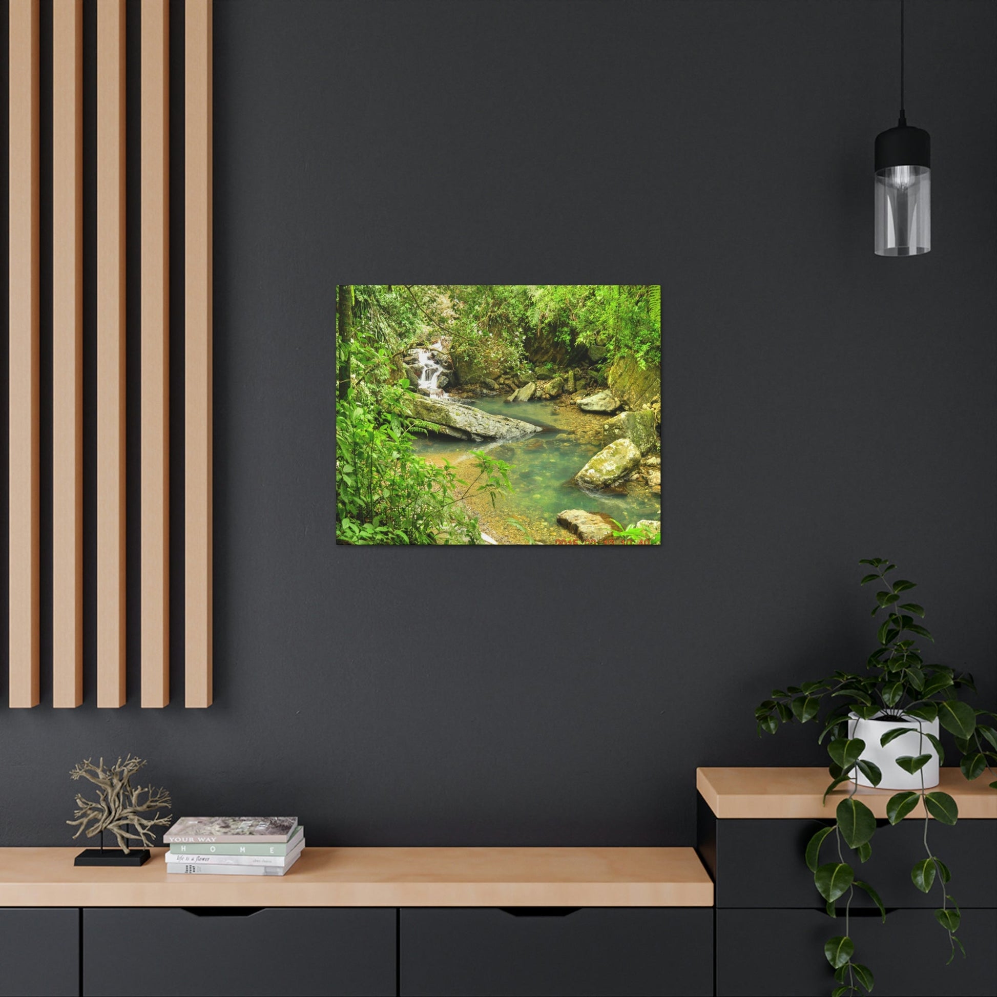 EYNF - Canvas Gallery Wraps - The Magic pond in La Mina river and trail - El Yunque PR - before Hurricane Maria - Green Forest Home
