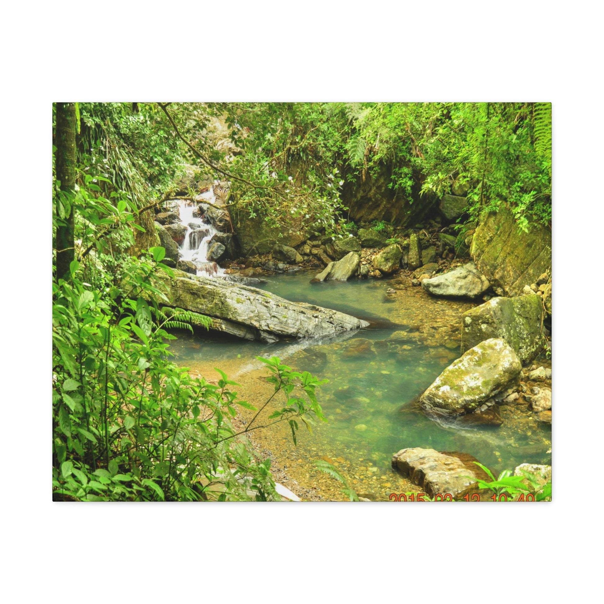 EYNF - Canvas Gallery Wraps - The Magic pond in La Mina river and trail - El Yunque PR - before Hurricane Maria - Green Forest Home