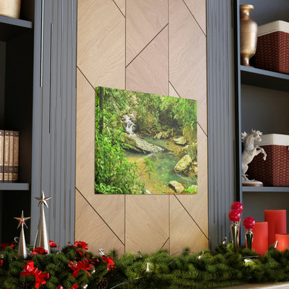 EYNF - Canvas Gallery Wraps - The Magic pond in La Mina river and trail - El Yunque PR - before Hurricane Maria - Green Forest Home
