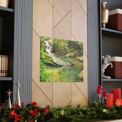 EYNF - Canvas Gallery Wraps - The Magic pond in La Mina river and trail - El Yunque PR - before Hurricane Maria - Green Forest Home