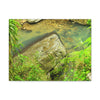 EYNF - Canvas Gallery Wraps - The Magic pond in La Mina river and trail - El Yunque PR - before Hurricane Maria - Green Forest Home