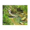 EYNF - Canvas Gallery Wraps - The Magic pond in La Mina river and trail - El Yunque PR - before Hurricane Maria - Green Forest Home