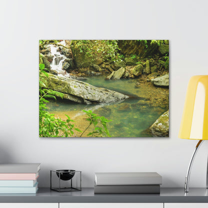EYNF - Canvas Gallery Wraps - The Magic pond in La Mina river and trail - El Yunque PR - before Hurricane Maria - Green Forest Home