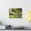 EYNF - Canvas Gallery Wraps - The Magic pond in La Mina river and trail - El Yunque PR - before Hurricane Maria - Green Forest Home
