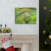 EYNF - Canvas Gallery Wraps - The Magic pond in La Mina river and trail - El Yunque PR - before Hurricane Maria - Green Forest Home