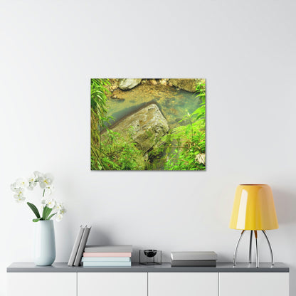 EYNF - Canvas Gallery Wraps - The Magic pond in La Mina river and trail - El Yunque PR - before Hurricane Maria - Green Forest Home