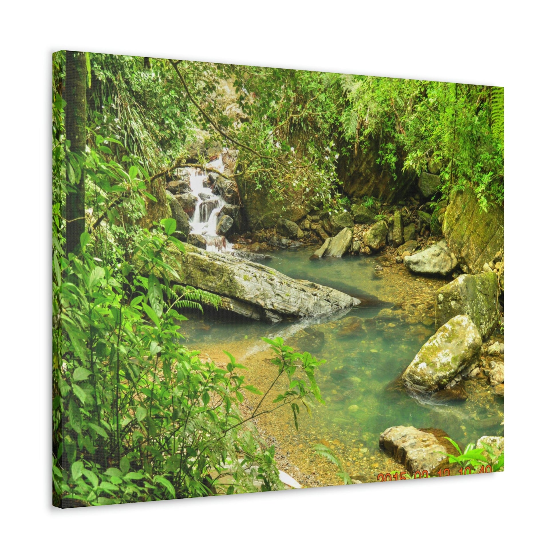 EYNF - Canvas Gallery Wraps - The Magic pond in La Mina river and trail - El Yunque PR - before Hurricane Maria - Green Forest Home
