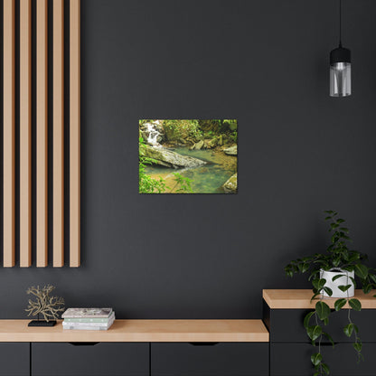 EYNF - Canvas Gallery Wraps - The Magic pond in La Mina river and trail - El Yunque PR - before Hurricane Maria - Green Forest Home