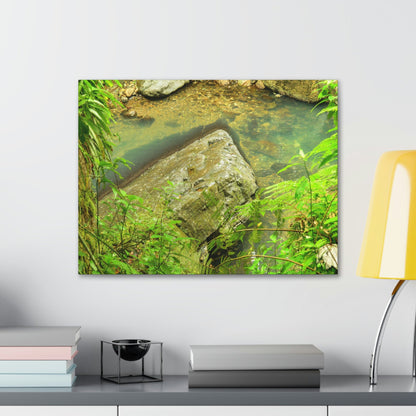 EYNF - Canvas Gallery Wraps - The Magic pond in La Mina river and trail - El Yunque PR - before Hurricane Maria - Green Forest Home