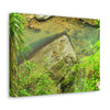 EYNF - Canvas Gallery Wraps - The Magic pond in La Mina river and trail - El Yunque PR - before Hurricane Maria - Green Forest Home