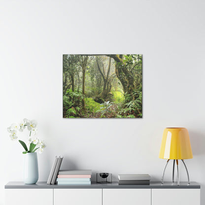 EYNF - Canvas Gallery Wraps - The Paradise path in Tradewinds trail - El Yunque rainforest PR - Green Forest Home