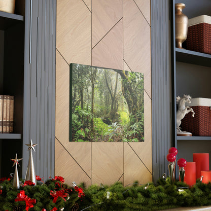 EYNF - Canvas Gallery Wraps - The Paradise path in Tradewinds trail - El Yunque rainforest PR - Green Forest Home