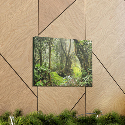 EYNF - Canvas Gallery Wraps - The Paradise path in Tradewinds trail - El Yunque rainforest PR - Green Forest Home