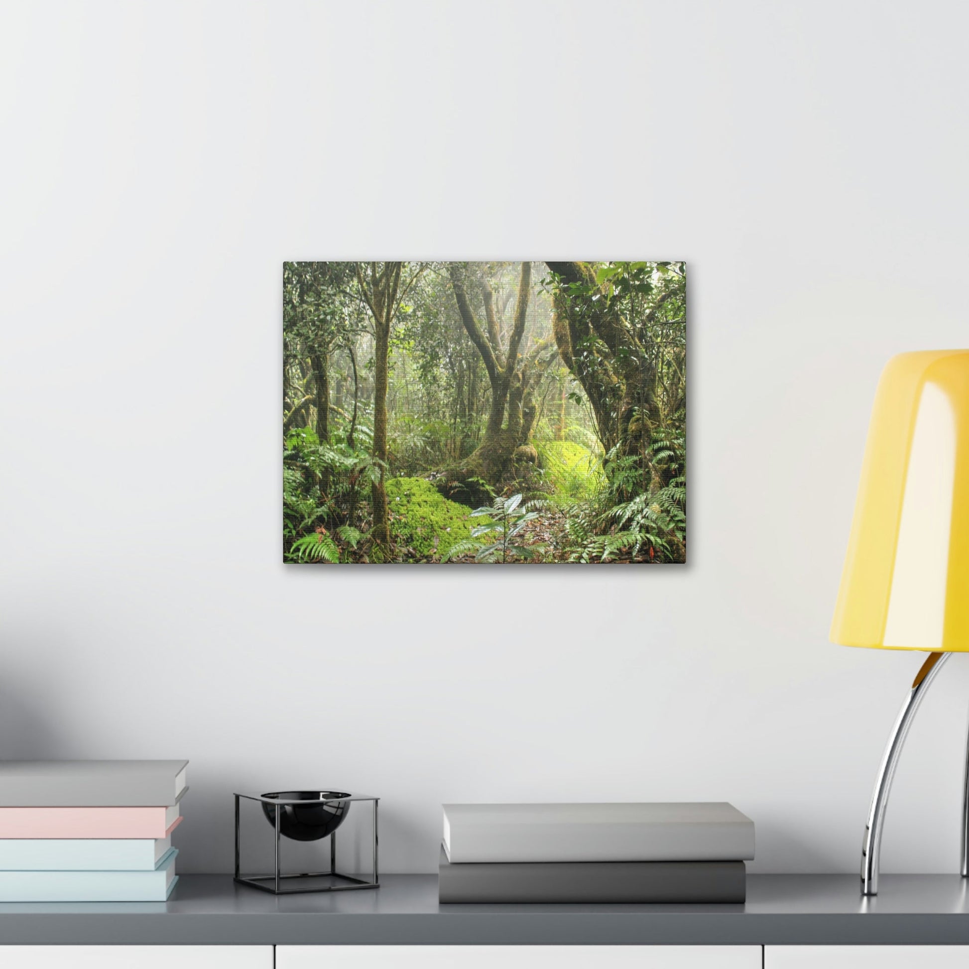 EYNF - Canvas Gallery Wraps - The Paradise path in Tradewinds trail - El Yunque rainforest PR - Green Forest Home