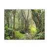 EYNF - Canvas Gallery Wraps - The Paradise path in Tradewinds trail - El Yunque rainforest PR - Green Forest Home