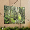 EYNF - Canvas Gallery Wraps - The Paradise path in Tradewinds trail - El Yunque rainforest PR - Green Forest Home
