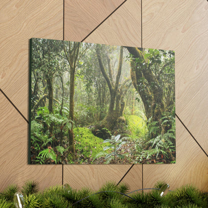 EYNF - Canvas Gallery Wraps - The Paradise path in Tradewinds trail - El Yunque rainforest PR - Green Forest Home