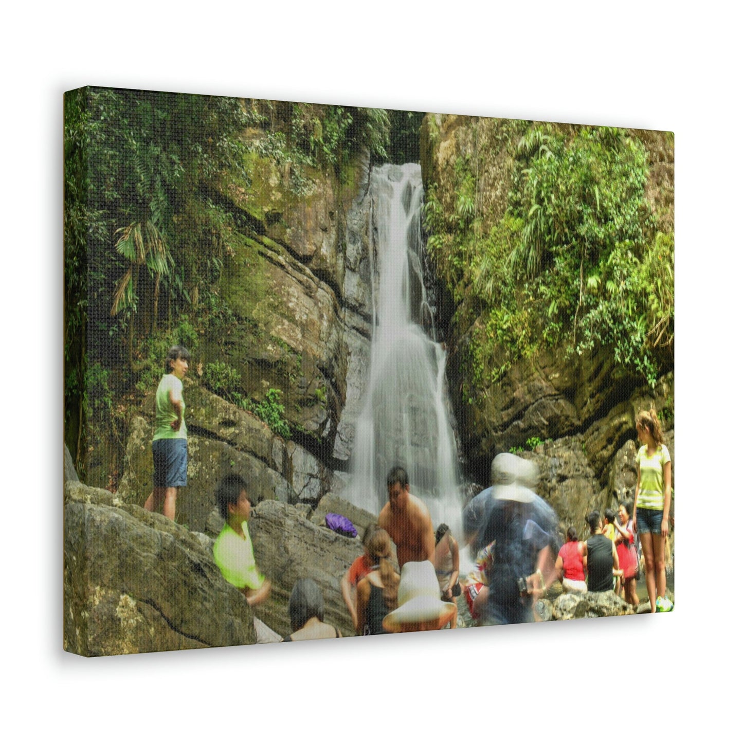 EYNF - Canvas Gallery Wraps - The Roaring La Mina Falls - El Yunque PR - before Hurricane Maria - Green Forest Home