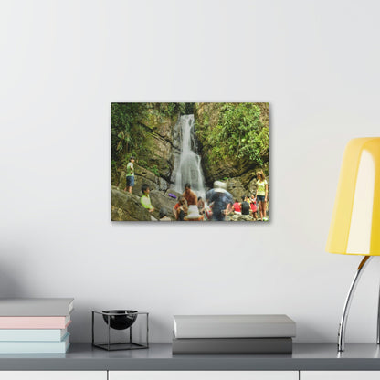 EYNF - Canvas Gallery Wraps - The Roaring La Mina Falls - El Yunque PR - before Hurricane Maria - Green Forest Home