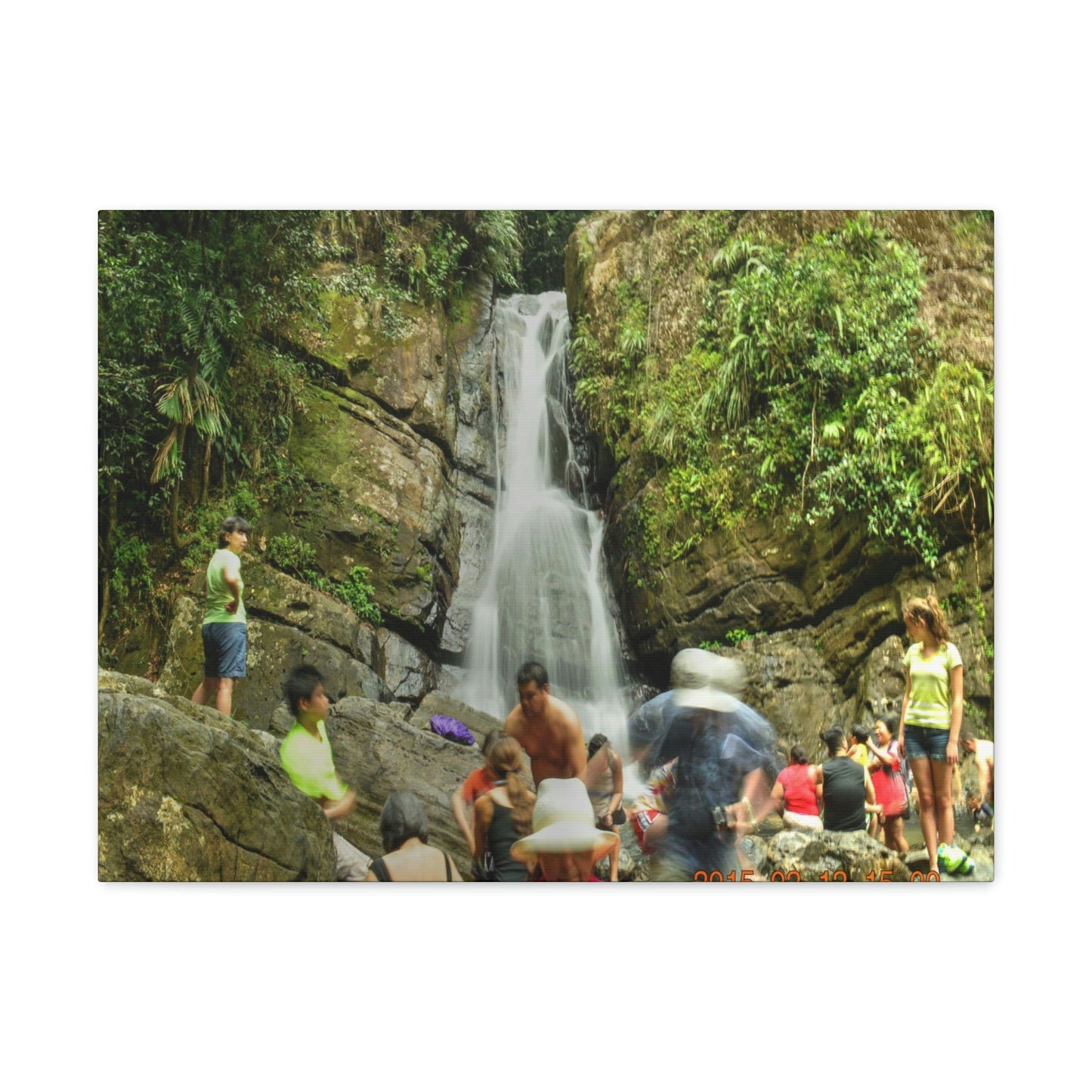 EYNF - Canvas Gallery Wraps - The Roaring La Mina Falls - El Yunque PR - before Hurricane Maria - Green Forest Home