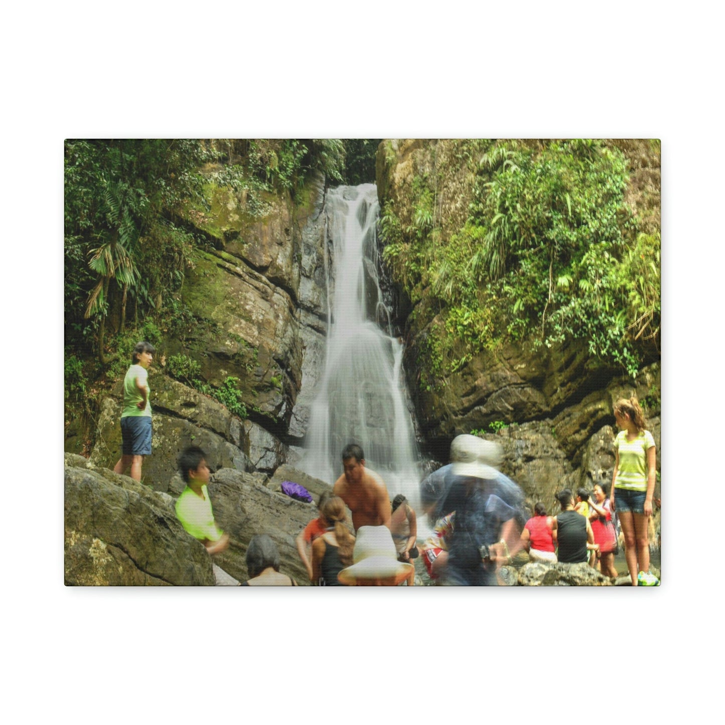 EYNF - Canvas Gallery Wraps - The Roaring La Mina Falls - El Yunque PR - before Hurricane Maria - Green Forest Home