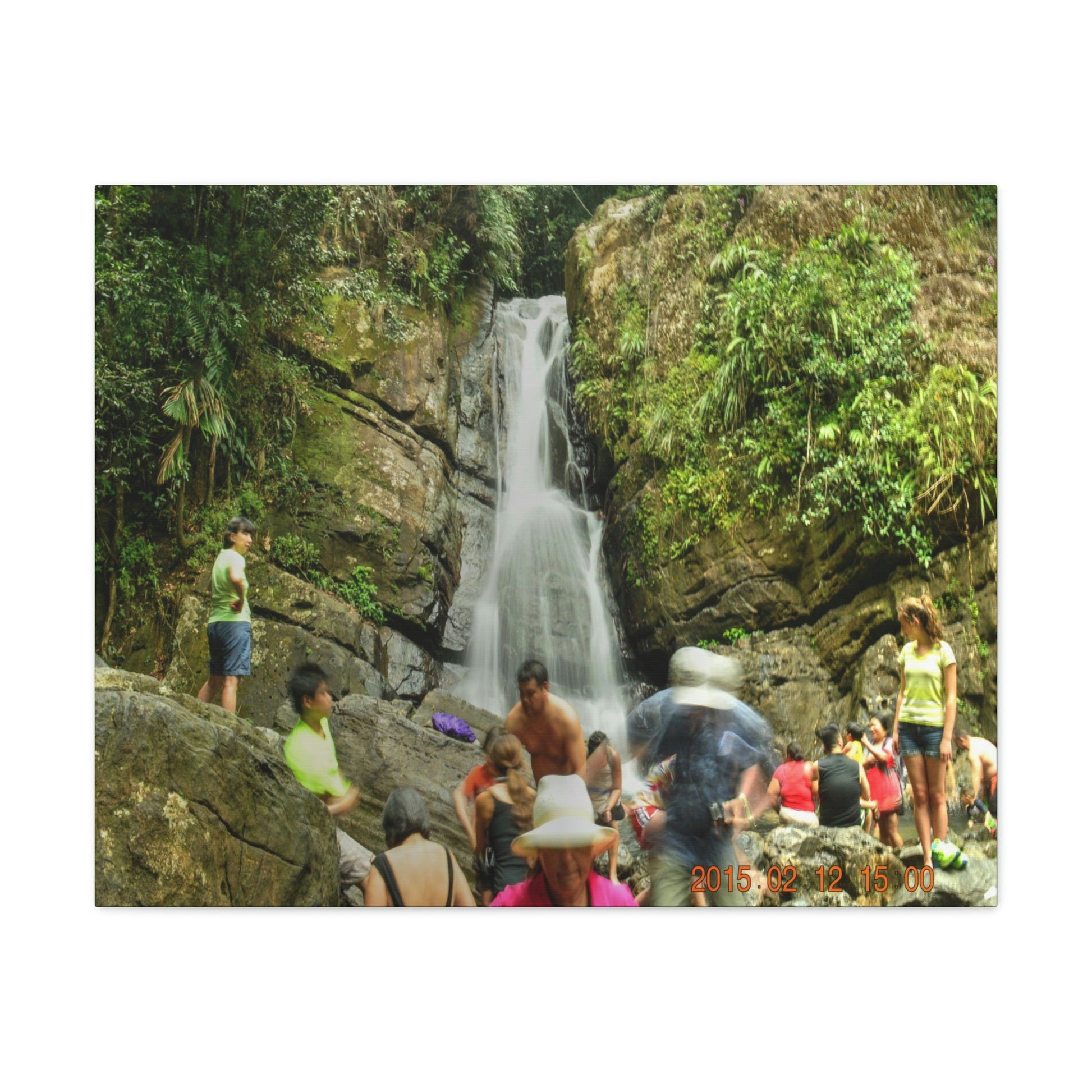 EYNF - Canvas Gallery Wraps - The Roaring La Mina Falls - El Yunque PR - before Hurricane Maria - Green Forest Home