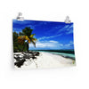 Fix that EMPTY WALL - Premium Matte horizontal posters - Unique Mona - Galapagos of the Caribbean - Puerto Rico: - Green Forest Home